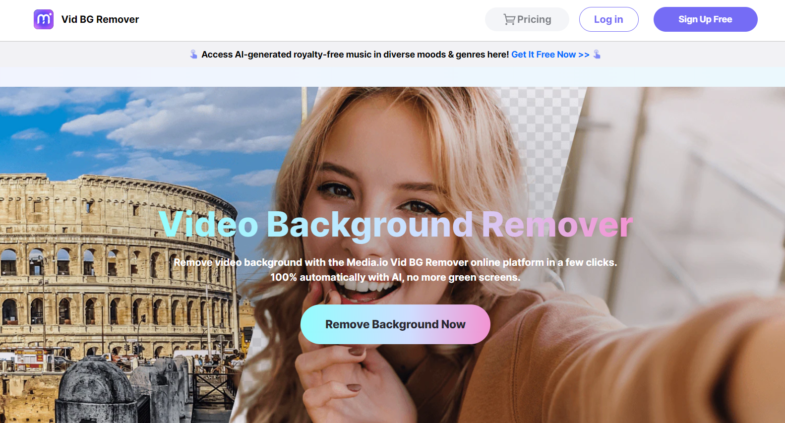 Vid-bg-remover-home-page